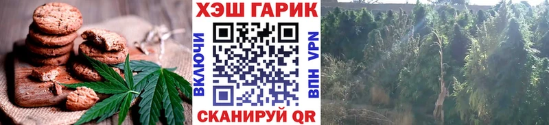 Canna-Cookies марихуана Кушва