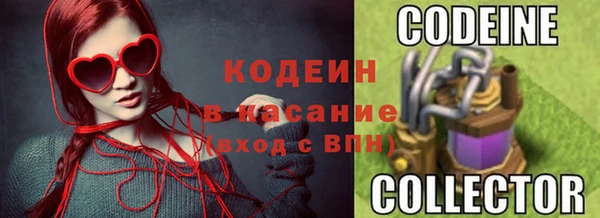 индика Бронницы