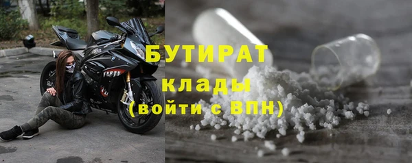 индика Бронницы