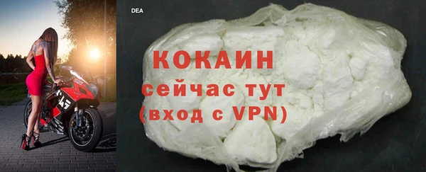 индика Бронницы