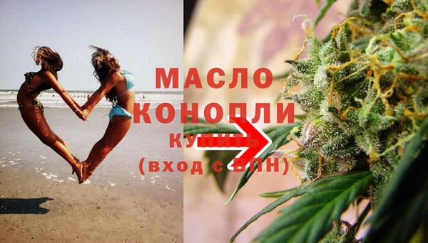 индика Бронницы