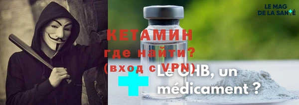 индика Бронницы