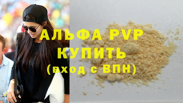 индика Бронницы