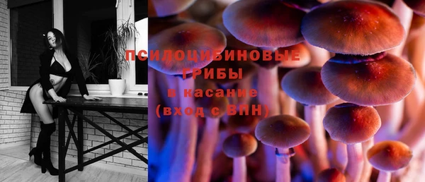 a pvp Белокуриха