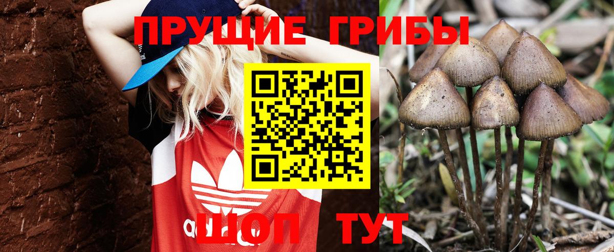 Гашиш  Кокаин  Меф кристаллы  Вход с VPN  НБОМе  Марихуана  Кушва  МЕТ 